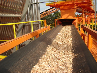 Programa de Reciclagem - esteira movimentando material pronto para o silo 2
